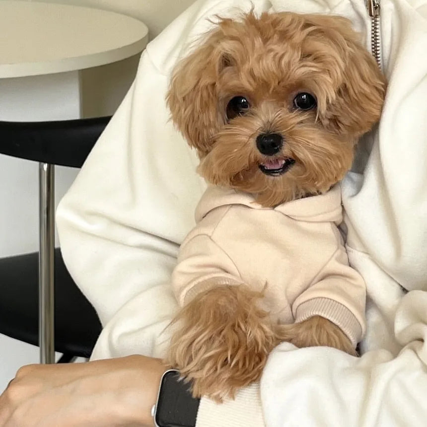 Sudadera para Perros de Invierno con Capucha - Peludo Shop