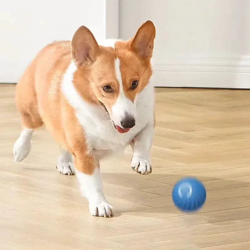Pelota Inteligente Interactiva para Perros - Recargable con Gravedad
