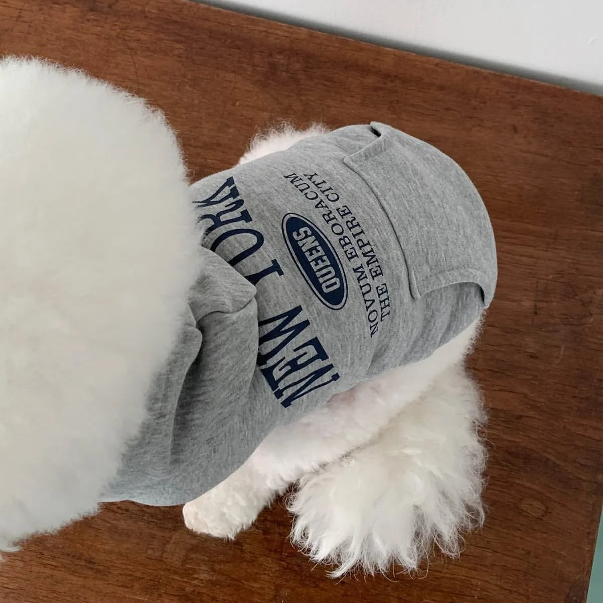 Sudadera para Perros de Invierno con Capucha - Peludo Shop