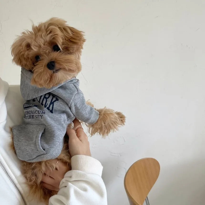 Sudadera para Perros de Invierno con Capucha - Peludo Shop